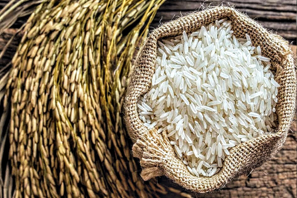 Rice