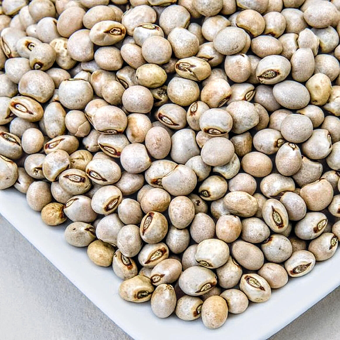 Cow Peas (white)