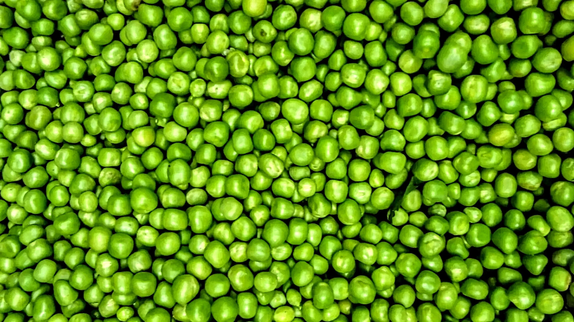 Green Peas