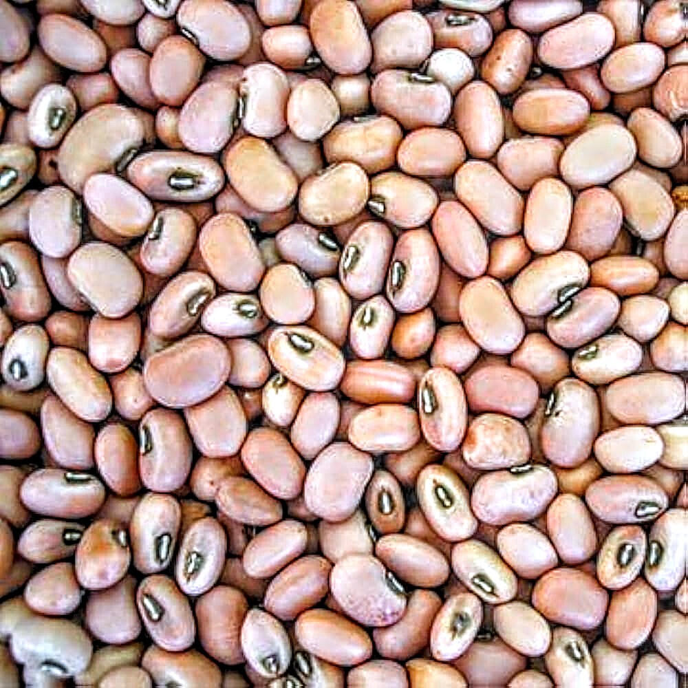 Cow Peas